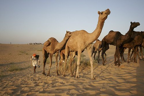 Sahara Photography Holiday Destinations