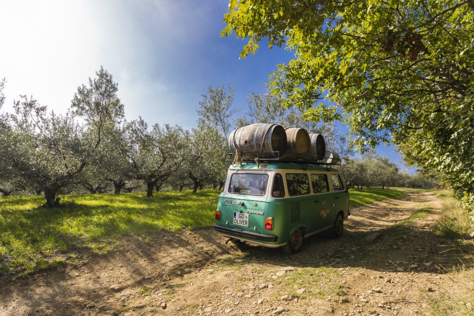 Vintage van on a truffle hunting excursion in the Slovenian countryside